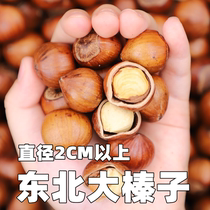 The rat is smaller than the new stock Northeast big hazelnut original taste thin skin fried cooked nut special dry fruit snacks wholesale