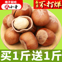 The rat is smaller than the northeastern terrobe with a large hazelnut thin skin New stock original flavor opening Tieling dried fruit pregnant women nuts fried stock fresh