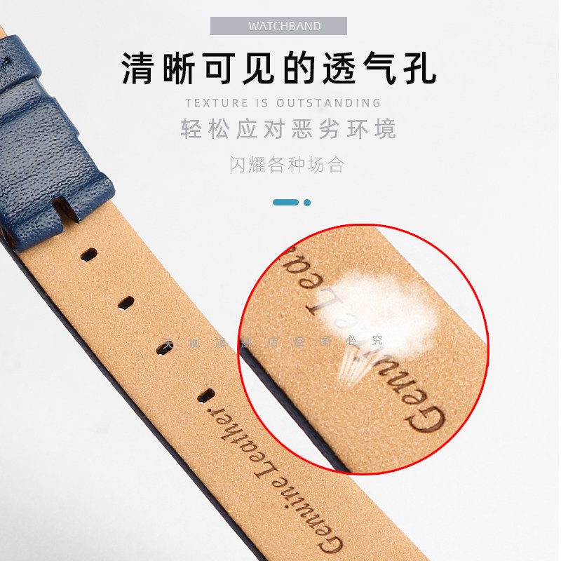 适配casio she-4543欧8八边形系列 天姵配件