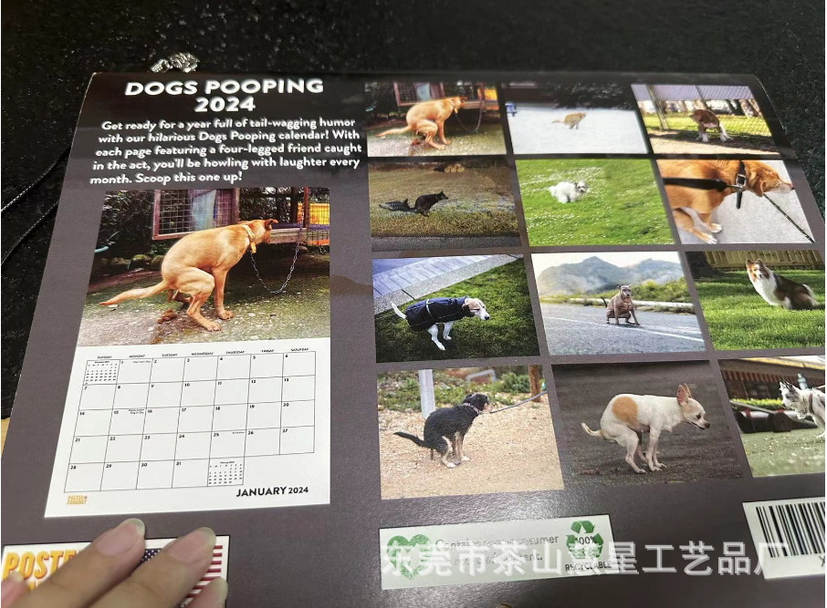 跨境新品2024年狗狗大便日历 创意狗狗日历Dogs Pooping Calendar - 图0