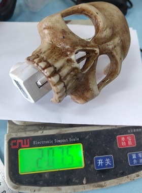 跨境新品骷颅小夜灯 骷髅氛围调节灯Skull Night Lamp 装饰派对