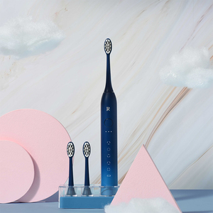 ZR 超声波感应式充电电动牙刷+5美白刷头