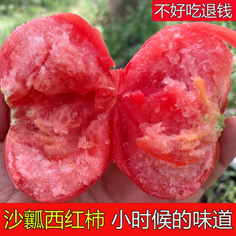 陕西泾阳普罗旺斯沙瓤西红柿自然熟当季新鲜水果生吃粉番茄孕妇-图3