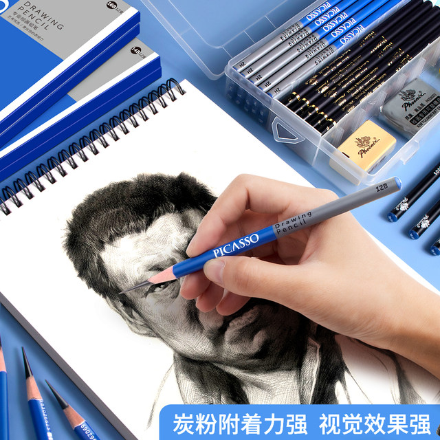 Picasso graphite sketch pencil 2b2h6b4b12 pieces