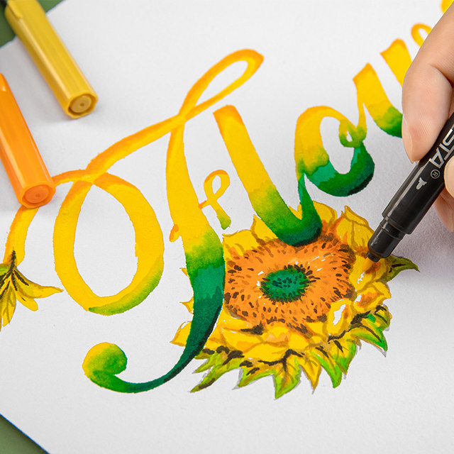 Star hand-painted double-headed color 24 soft-head markers