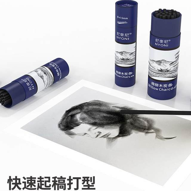 Special for Nyoni Willow Charcoal Strip Sketching