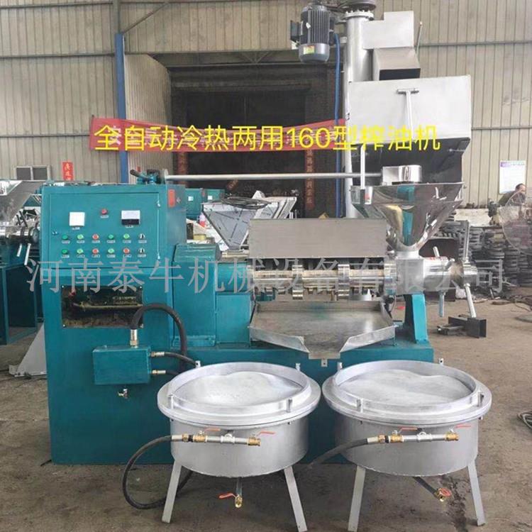 油茶籽油压榨机小型橄榄油榨油机两相电棕榈果冷榨榨油机 - 图1