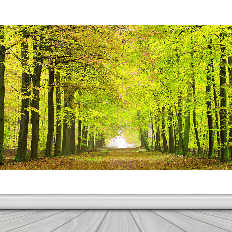 黄金满地大道新中式客厅自粘装饰画沙发背景墙贴画办公室山水壁画,淘宝优惠券,粉丝福利购,淘宝优惠卷