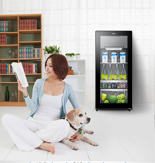 海尔lc-121d家用小型茶叶客厅冰柜 海尔浦涌冷柜