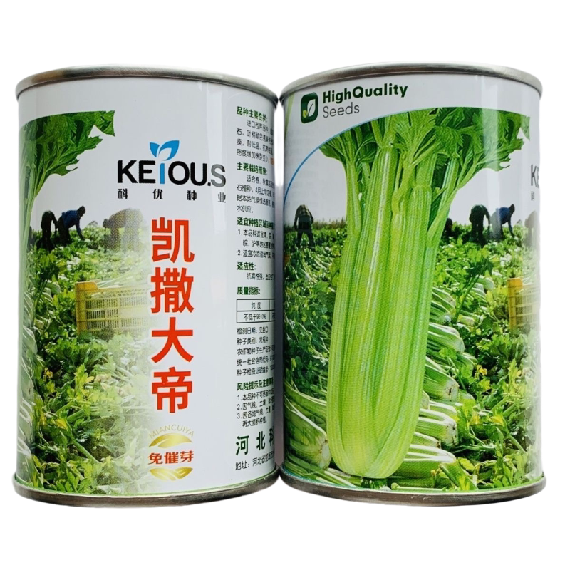 西芹种子凯撒大帝芹菜种子叶柄亮绿有光泽纤维少高产抗病强免催芽