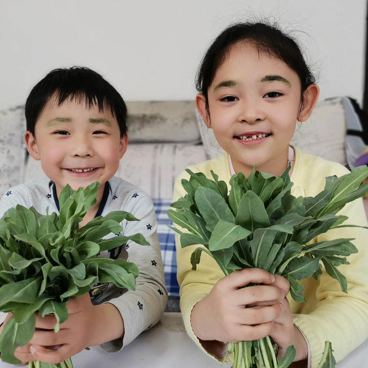 新疆蜜喀尔乌斯玛草棒眉笔生眉笔眉棒乌斯曼草棒眉膏睫毛增长 螺 - 图1