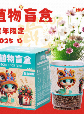 晓梦新年植物盲盒DIY桌面种植盆栽幼儿园儿童开学礼物学生礼品
