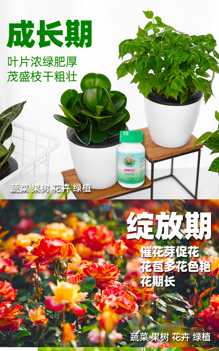 绿萝绿植营养液通用氨基酸水溶肥通用型植物营养液腐植酸水溶肥料 - 图1