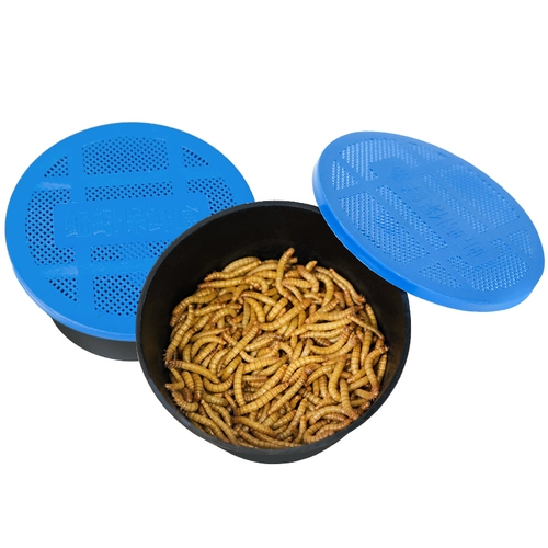 Хлеб -червь Живые тела воздушные воздушные -защищенные маленькие шок с желтой порошкой