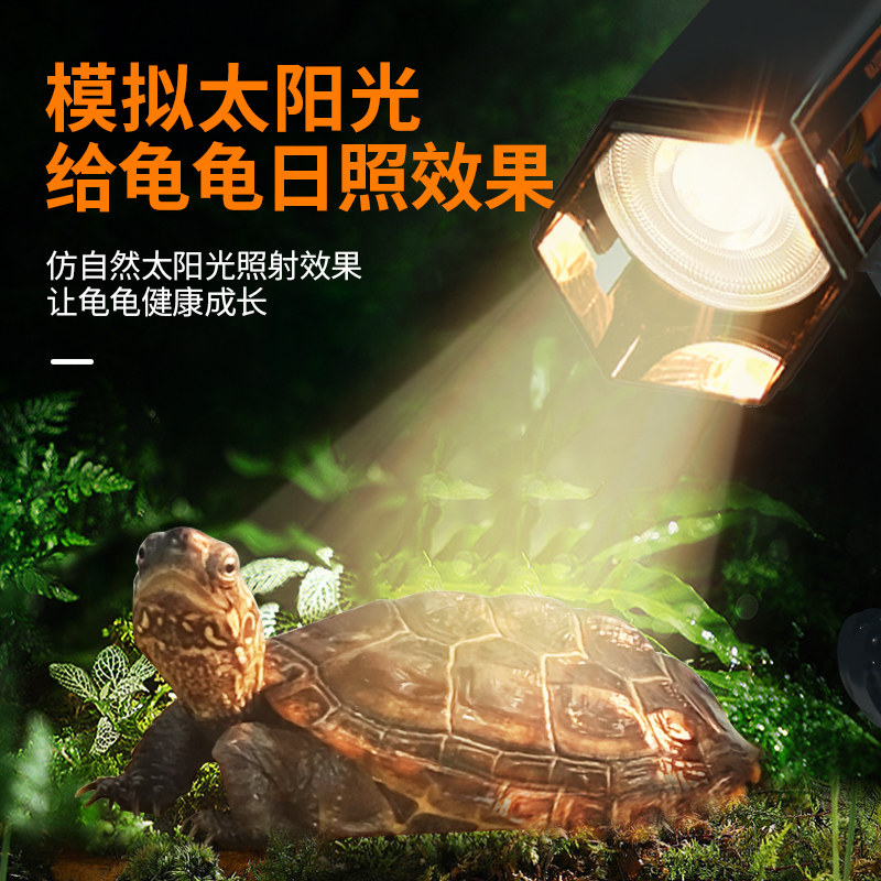 乌龟晒背灯龟缸灯陶瓷养龟爬虫爬宠缸饲养护太阳鱼缸加热太阳泡灯,淘宝优惠券,粉丝福利购,淘宝优惠卷