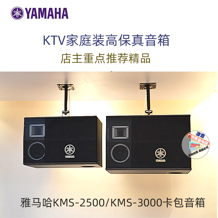 雅马哈KMS2500卡拉OK家庭式KTV音箱连锁店专用卡包音箱10寸大功率