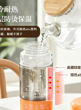 便携电热杯玻璃杯保温杯旅行恒温小型烧水杯加热电水壶婴儿调奶器