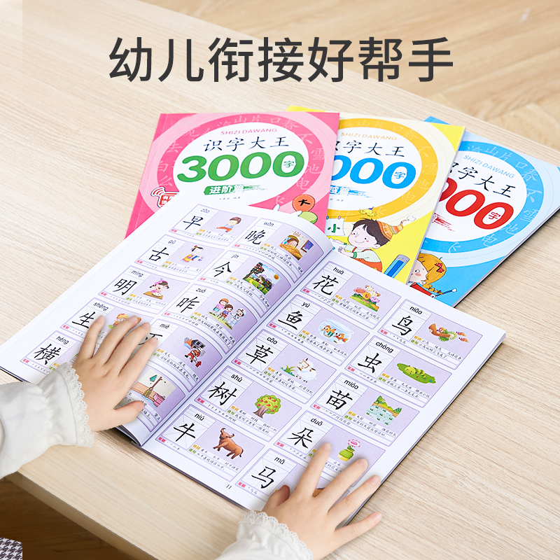 儿童识字卡3000字幼儿园宝宝象形识字书幼儿认字早教启蒙学习神器-图0