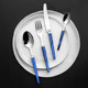 French Capdeco square handle Western dining tableware