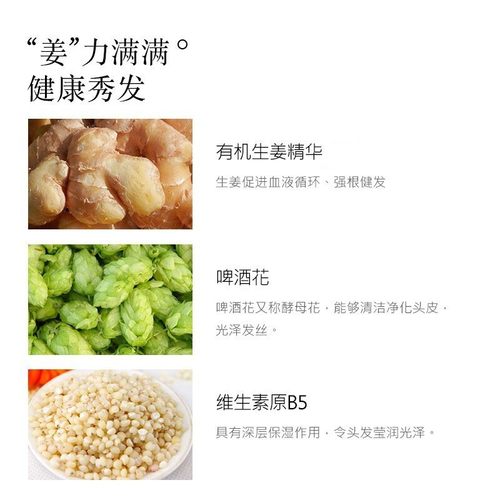 蜂花无硅油生姜洗发水露沐浴露套装峰花牌官方旗舰店官网正品品牌 - 图1