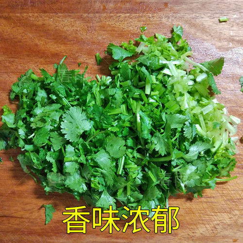 小叶香菜种籽芫荽四季食用秋季盆栽香莱籽种阳台蔬菜种子苗孑种菜 - 图0