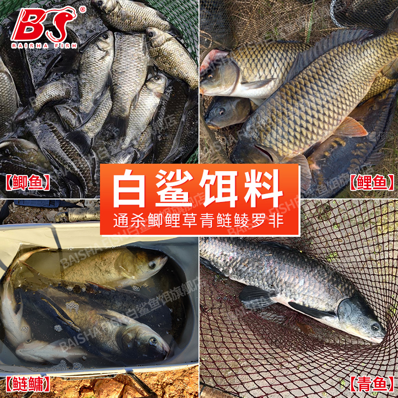 白鲨抛竿海竿鱼食窝料野钓鲢鳙鲢鱼饵饼打窝料爆炸钩翻板方块饵料-图0