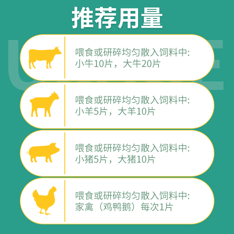 乳酸菌素片 兽用 乳酸菌素兽用1000片猪牛羊犬猫消化不良调理肠道 - 图1