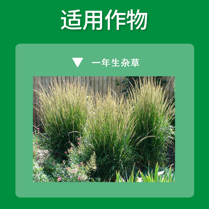 科迪华陶氏益农盖草能高效氟吡甲禾灵芦苇禾本科杂草除草剂20ml_虎窝淘