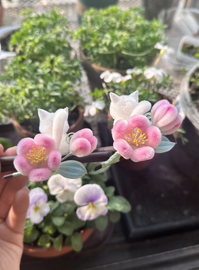 绒花蚕丝桃花小猫手工制作发饰发簪竹枝主体