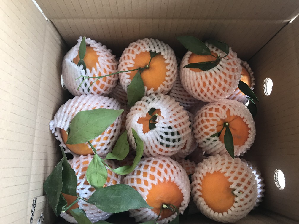 Guangxi Wuming Wogan flagship store non-drug special grade