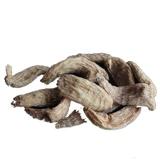 Северо -восточное выращивание горы Чанбай