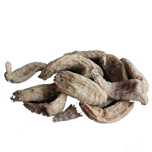 Северо -восточное выращивание горы Чанбай