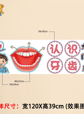 爱牙日黑板报布置墙贴认识牙齿