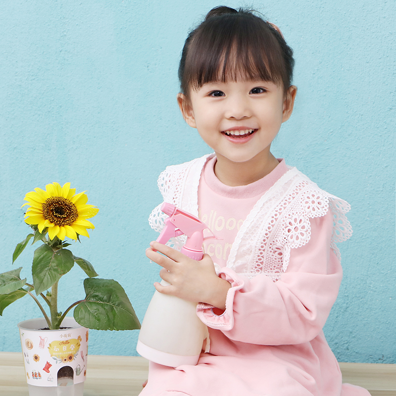 儿童种植小盆栽幼儿园学生小花农迷你观察植物生长向日葵种子草莓 - 图2