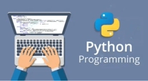 Python customization Python crawler Python tutoring front-end and back-end construction data analysis