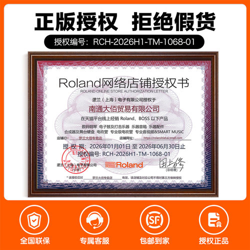 Roland罗兰电吹管乐器AE20老年人娱乐初学AE30电萨克斯吹管ae10 - 图2