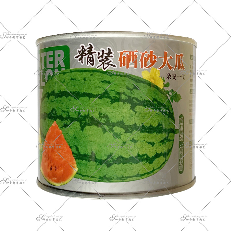 懒汉瓜王8424西瓜种籽南方特大巨型西瓜种子超甜冰糖麒麟高产种孑 - 图2