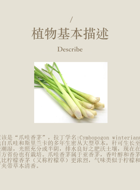 多特瑞 香茅单方精油15ml官网doterra正品按摩滋养皮肤涂抹保湿