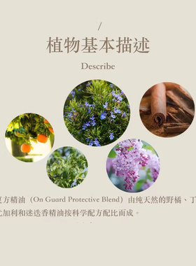 多特瑞保卫复方精油15ml官网doterra涂抹香薰海外版