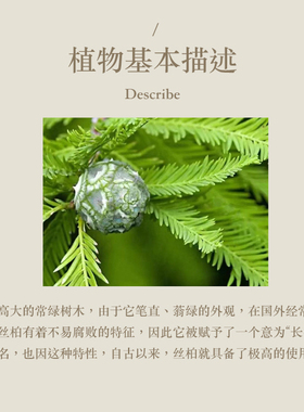 多特瑞 丝柏单方精油15ml官网doterra正品按摩滋养皮肤涂抹保湿