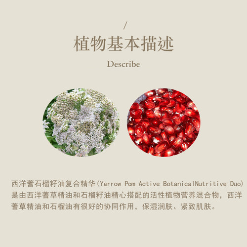多特瑞西洋蓍草石榴籽复合精油15ml官网doterra正品皮肤涂抹保湿 - 图1