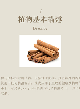 多特瑞美国cassia桂皮单方精油