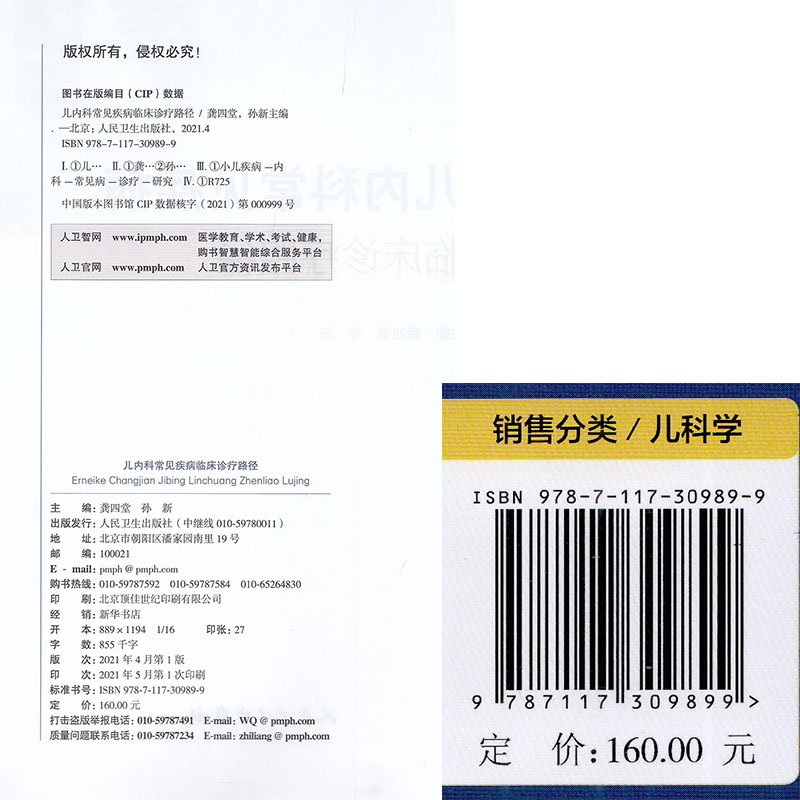 正版现货 儿内科常见疾病临床诊疗路径 龚四堂 孙新 人民卫生出版社 9787117309899 - 图0