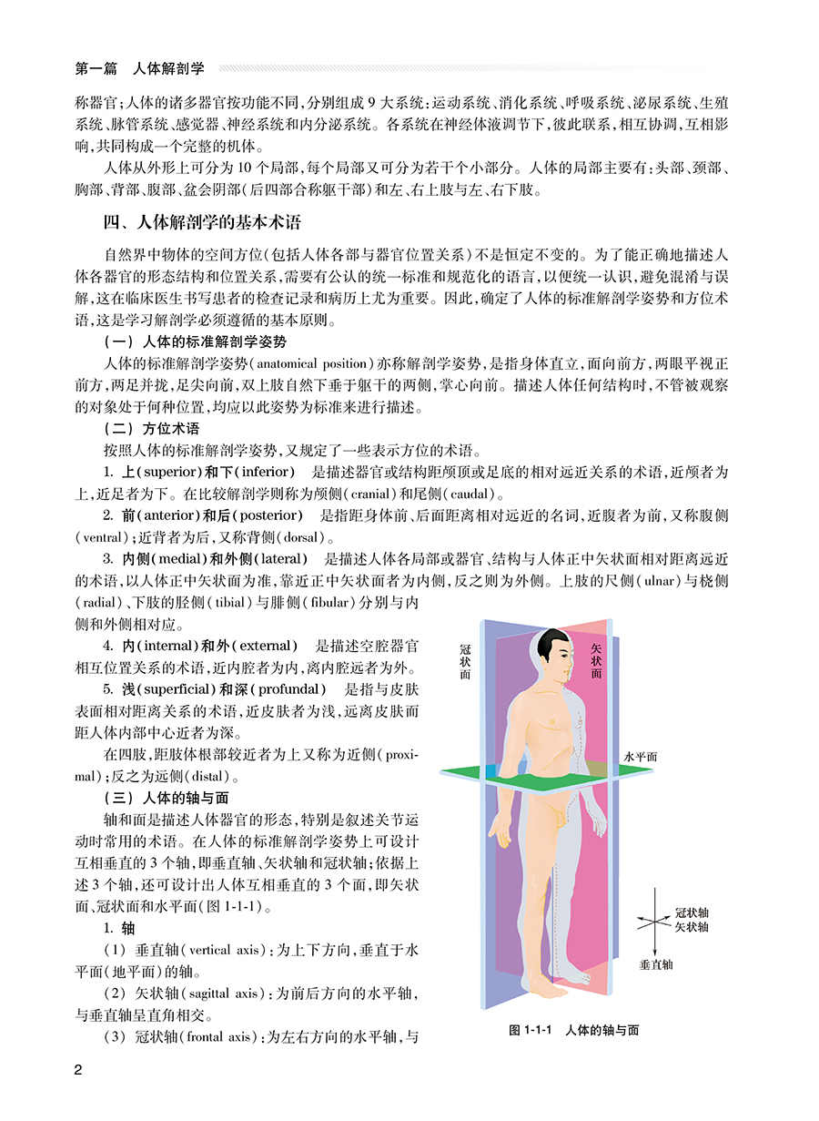 现货正版 人体形态与病理学概论 创新教材 阮永华 邹智荣 人民卫生出版社9787117332002 - 图2