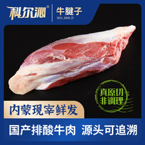 Cortham Cattle Tendons Cold Fresh Halal Beef 3 Catty Packed Grassland New Fresh Yellow Beef Raw Cut Meat Unspliced