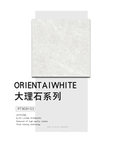 Nobel all-porcelain throwing glazed marble tiles minimalist modern Venus grey RT909103