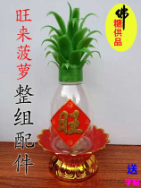 Transparent plastic model emulated pineapple leaf decoration plastic bottle suit Chaoshan full set accessories Creative gift