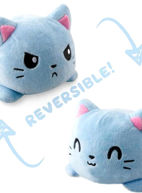 ReversibleCatGoKidSo