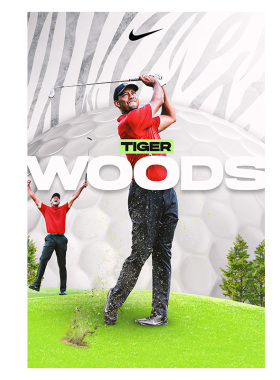 老虎泰格伍兹GOLF高尔夫球装饰画
