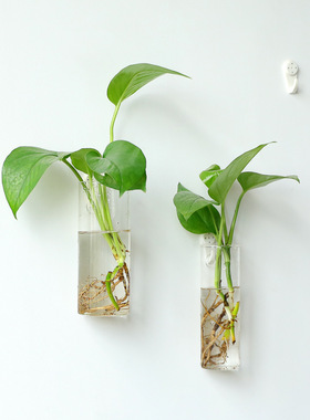 水培圆柱植物容器家居墙面装饰